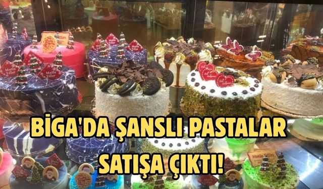 Biga'da şanslı pastalar satışa çıktı!