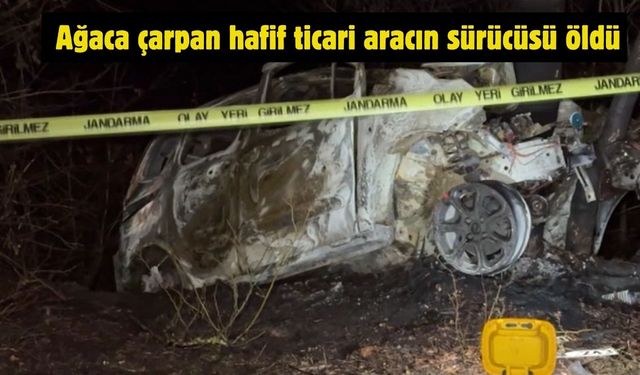 Ağaca çarpan hafif ticari aracın sürücüsü öldü