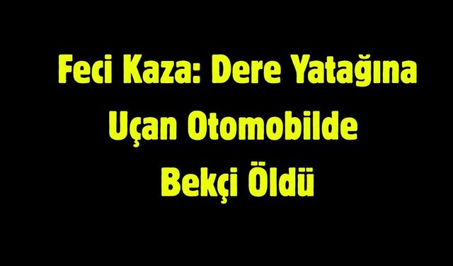 Feci Kaza: Dere Yatağına Uçan Otomobilde Bekçi Öldü