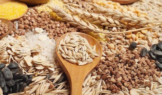 11 ayda 3,2 milyar dolarlık hububat ihracatı yapıldı