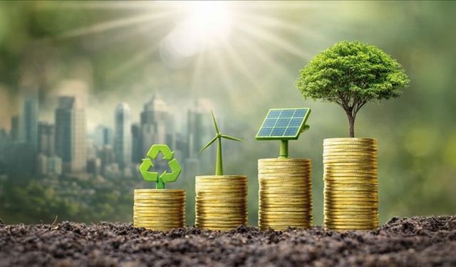 Çevreyi korumaya 2024'te 441 milyar lira harcandı