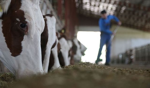 Besilik materyal üretiminin artırılması için protokol imzalandı