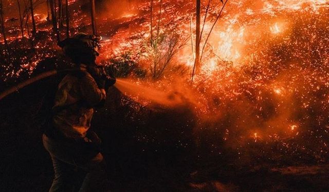 350 bin hektardan fazla ormanlık alan yandı