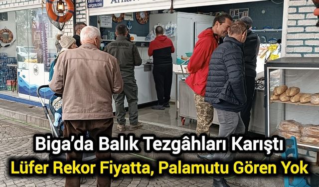 Biga’da Balık Tezgâhları Karıştı: Lüfer Rekor Fiyata, Palamutu Gören Yok