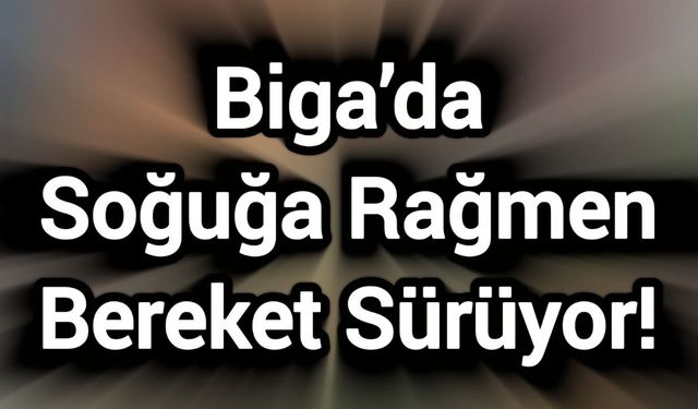 Biga’da Soğuğa Rağmen Bereket Sürüyor!