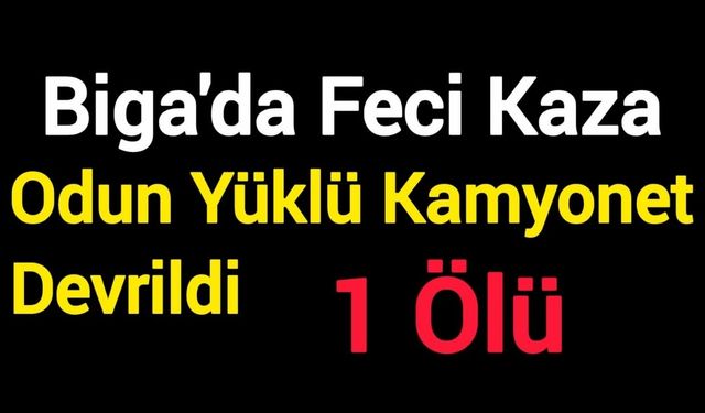 Biga'da Feci Kaza: Odun Yüklü Kamyonet Devrildi, 1 Ölü