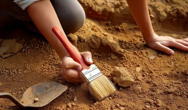 Dinozor ayak izleri bulundu