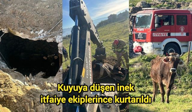Kuyuya düşen inek itfaiye ekiplerince kurtarıldı