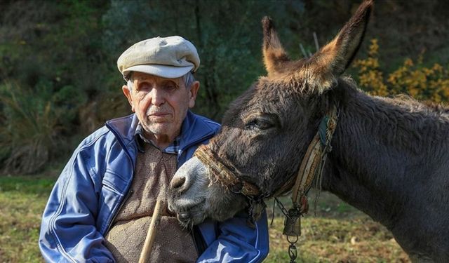 Görme engelli Raif dede yolunu "Magare" sayesinde buluyor