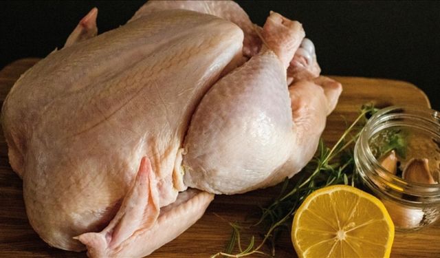 Tavuk eti üretimi yıllık bazda arttı