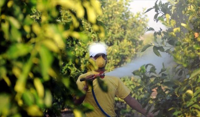 5 soruda tarımda "B-Reçete" uygulaması