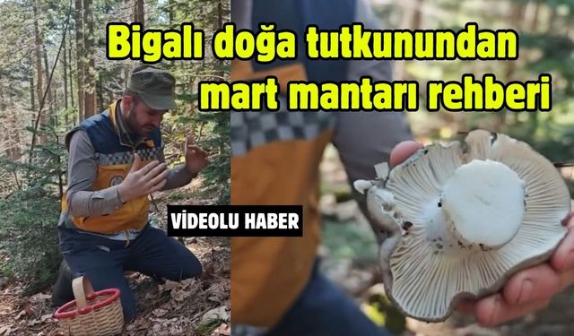 Bigalı doğa tutkunundan mart mantarı rehberi