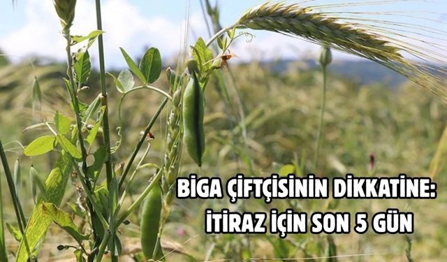 Biga çiftçisinin dikkatine: İtiraz için son 5 gün