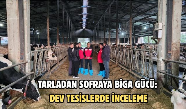 Tarladan sofraya Biga gücü: Dev tesislerde inceleme