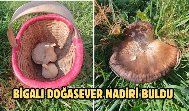 Bigalı doğasever nadiri buldu