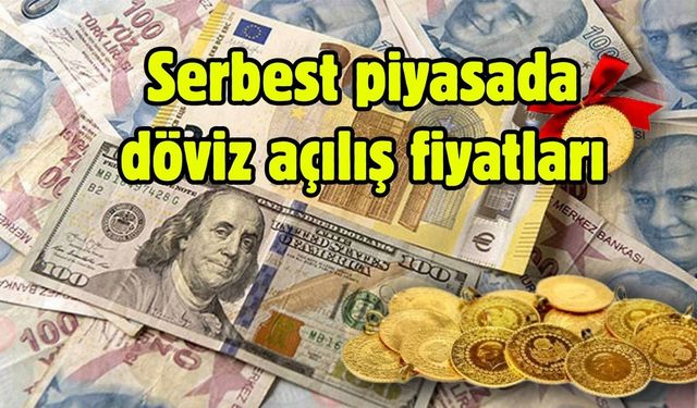 Serbest piyasada döviz açılış fiyatları