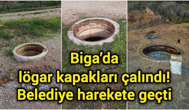 Biga’da lögar kapakları çalındı! Belediye harekete geçti