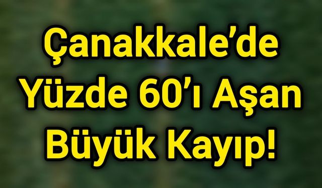 Çanakkale’de Yüzde 60’ı Aşan Büyük Kayıp!