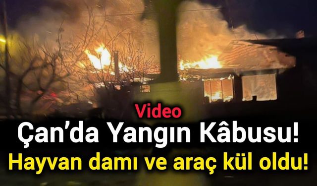 Çan’da Yangın Kâbusu! Hayvan damı ve araç kül oldu!