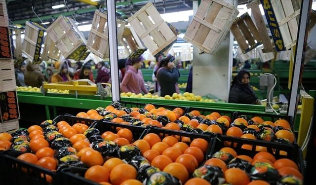 Tarım sektöründen tüm zamanların rekoru