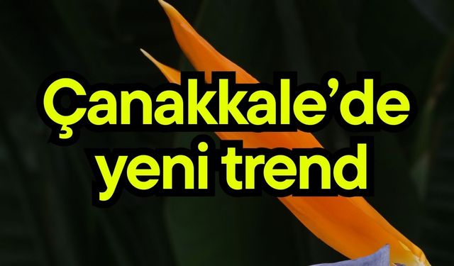 Çanakkale’de yeni trend