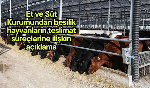 Et ve Süt Kurumundan besilik hayvanların teslimat süreçlerine ilişkin açıklama