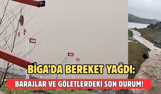 Biga’da bereket yağdı: Barajlar ve göletlerdeki son durum!