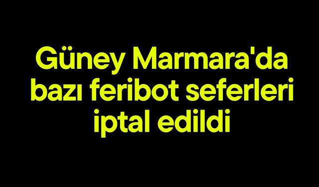 Güney Marmara'da bazı feribot seferleri iptal edildi