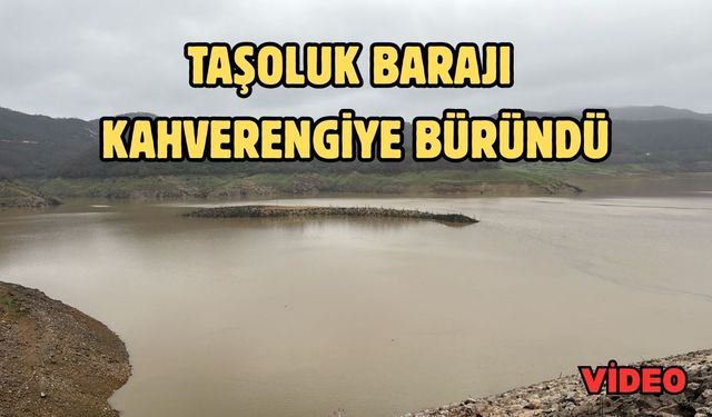 Taşoluk Barajı kahverengiye büründü