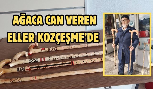 Ağaca can veren eller Kozçeşme’de