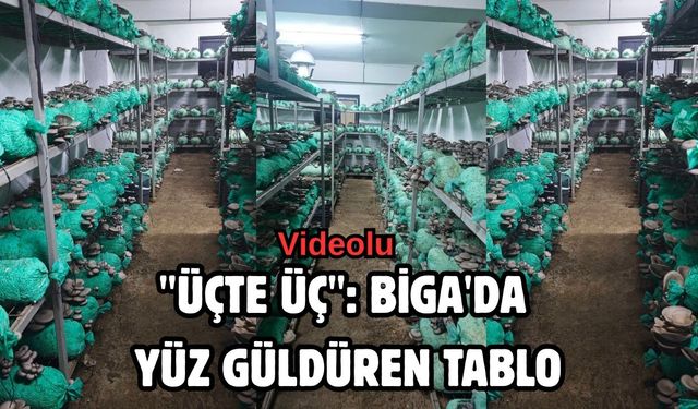 "Üçte Üç": Biga'da yüz güldüren tablo