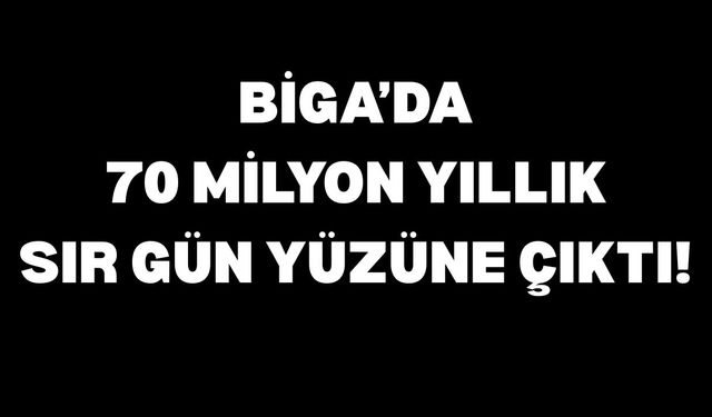 Biga’da 70 milyon yıllık sır gün yüzüne çıktı!