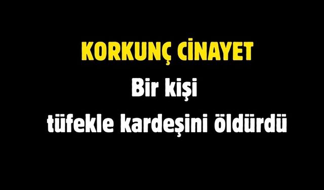 Bir kişi tüfekle kardeşini öldürdü