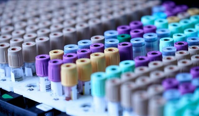 Evcil kedilerden insanlara uzanan şifa umudu