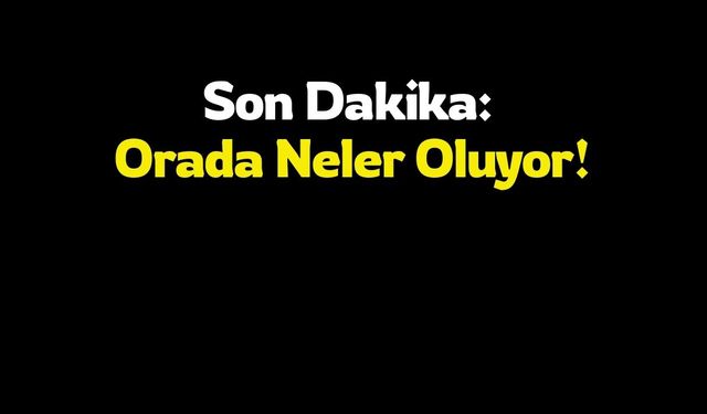 Orada Neler Oluyor!