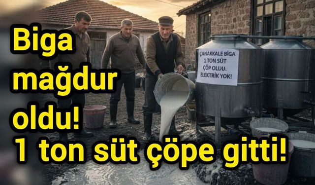 Çanakkale Biga mağdur oldu, 1 ton süt çöpe gitti