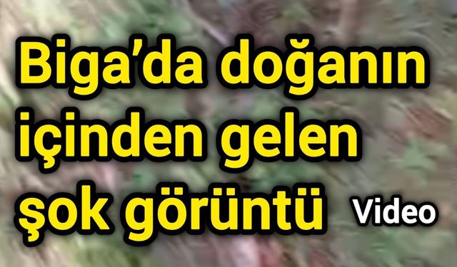 Biga’da doğanın içinden gelen şok görüntü