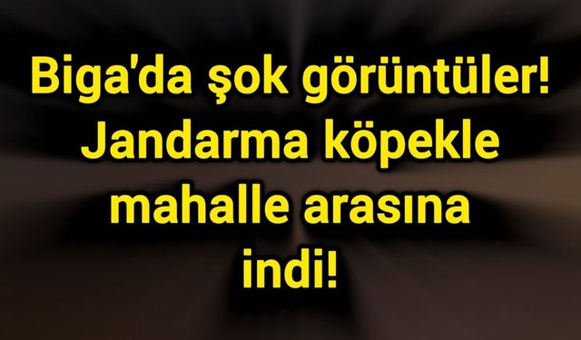 Biga'da şok görüntüler! Jandarma köpekle mahalle arasına indi!