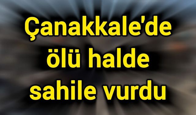 Çanakkale'de ölü halde sahile vurdu