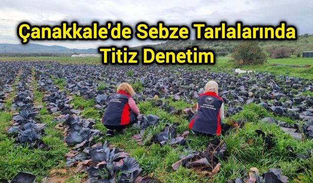 Çanakkale'de Sebze Tarlalarında Titiz Denetim