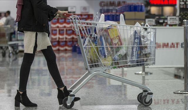 TÜİK enflasyon sepetini güncelledi