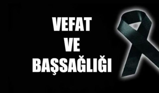 Biga’da Bir Çınar Daha Devrildi