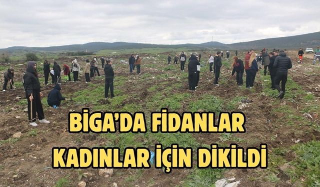 Biga’da fidanlar kadınlar için dikildi