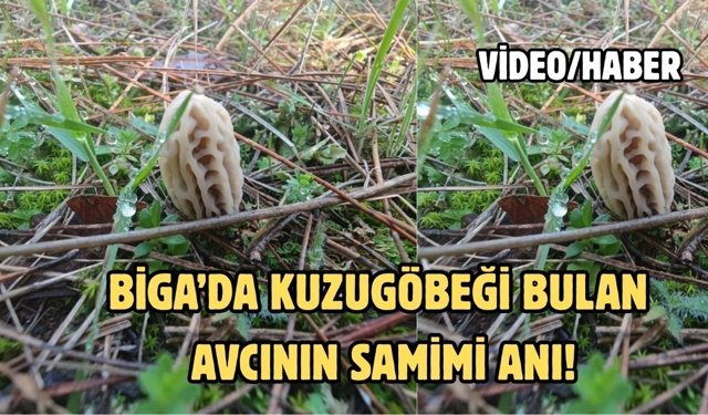 Biga’da kuzugöbeği bulan avcının samimi anı!