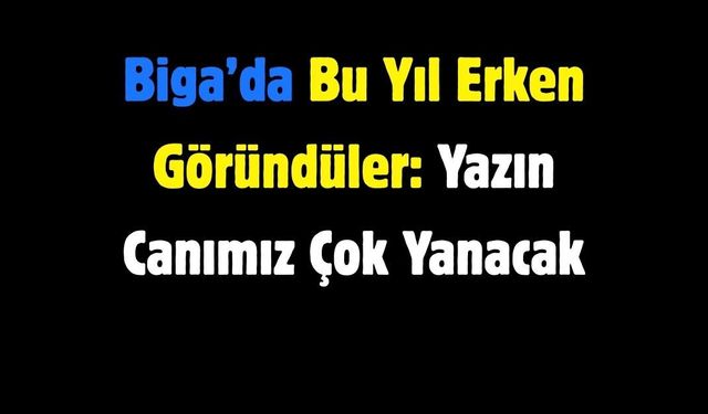 Biga’da Bu Yıl Erken Göründüler: Yazın Canımız Çok Yanacak
