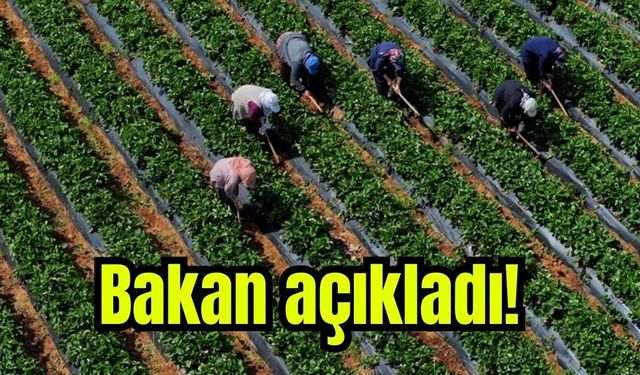 Çiftçilere 12,3 milyar liralık tarımsal destekleme ödemesi o tarihte yatacak