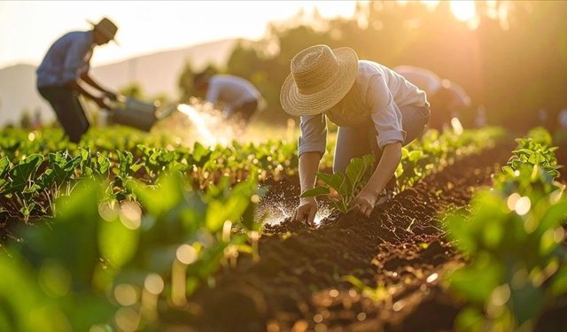 Gübre ham maddesi üre için ithalatta gümrük vergisi sıfırlandı