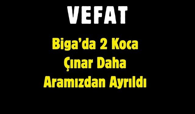 Biga’da 2 Koca Çınar Daha Aramızdan Ayrıldı