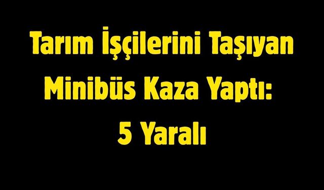 Tarım İşçilerini Taşıyan Minibüs Kaza Yaptı: 5 Yaralı