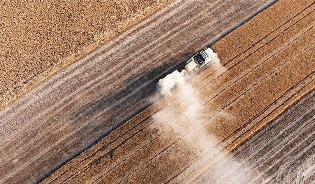 Çanakkale’de Yüzde 40 Artış!